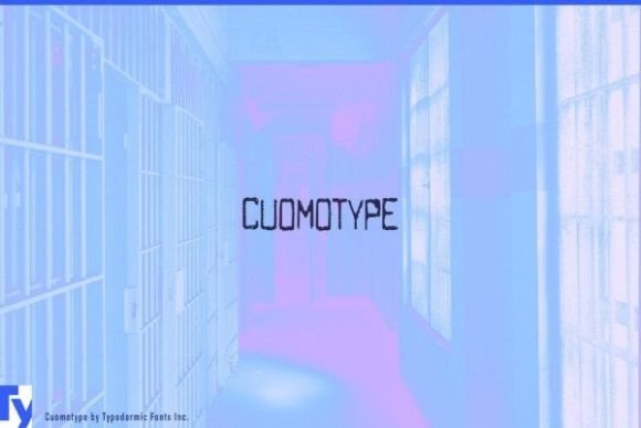 Cuomotype: A Designer's Hands-On Review for Real Projects