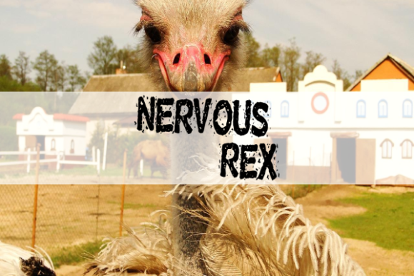 Nervous Rex: A Designer’s Field-Tested Review